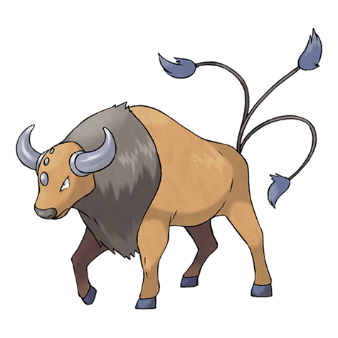 pokemon tauros plush