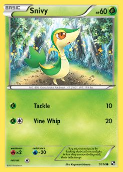 Snivy