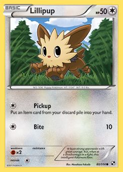 Lillipup