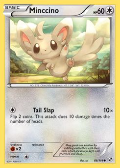 Minccino