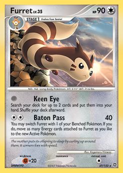 Furret