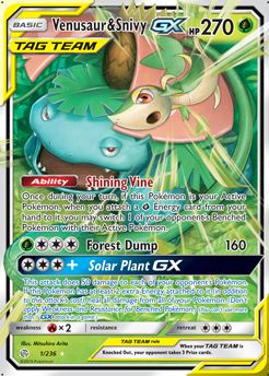 Venusaur & Snivy-GX