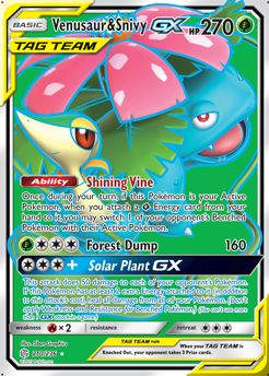 Venusaur & Snivy-GX