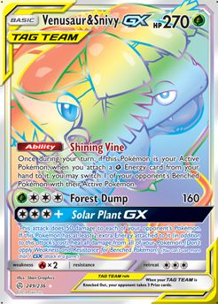 Venusaur & Snivy-GX