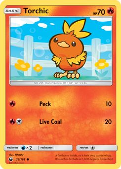 Torchic