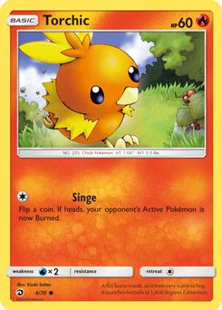 Torchic