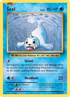 Seel